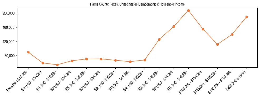 Harris County, Teaxs, United States Demographics: Household Income