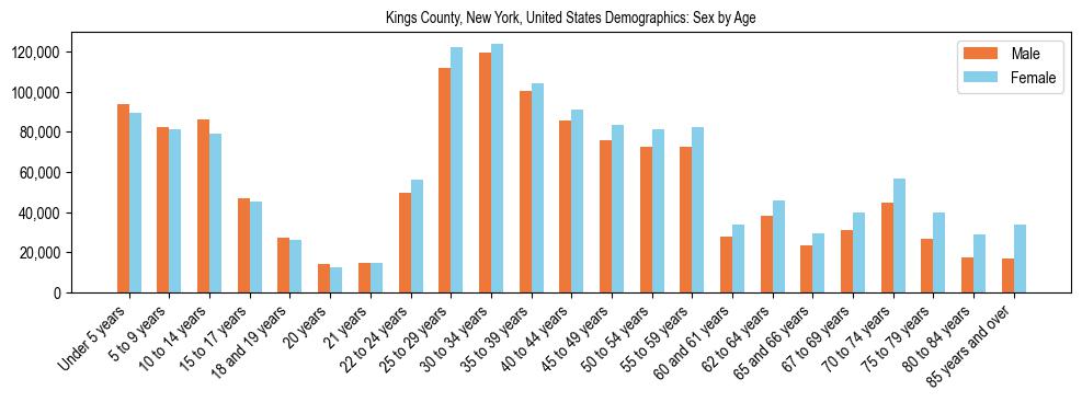 United States Demographics: (Sex by Age). The breakdown of the population of United States by sex by age is based on the current United States Census Bureau's 2022 American Community Survey (ACS) 5-Year Estimates..